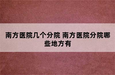 南方医院几个分院 南方医院分院哪些地方有